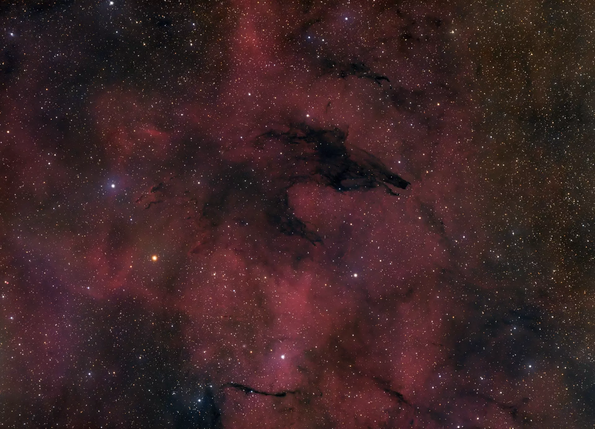 Dark Wolf Nebula