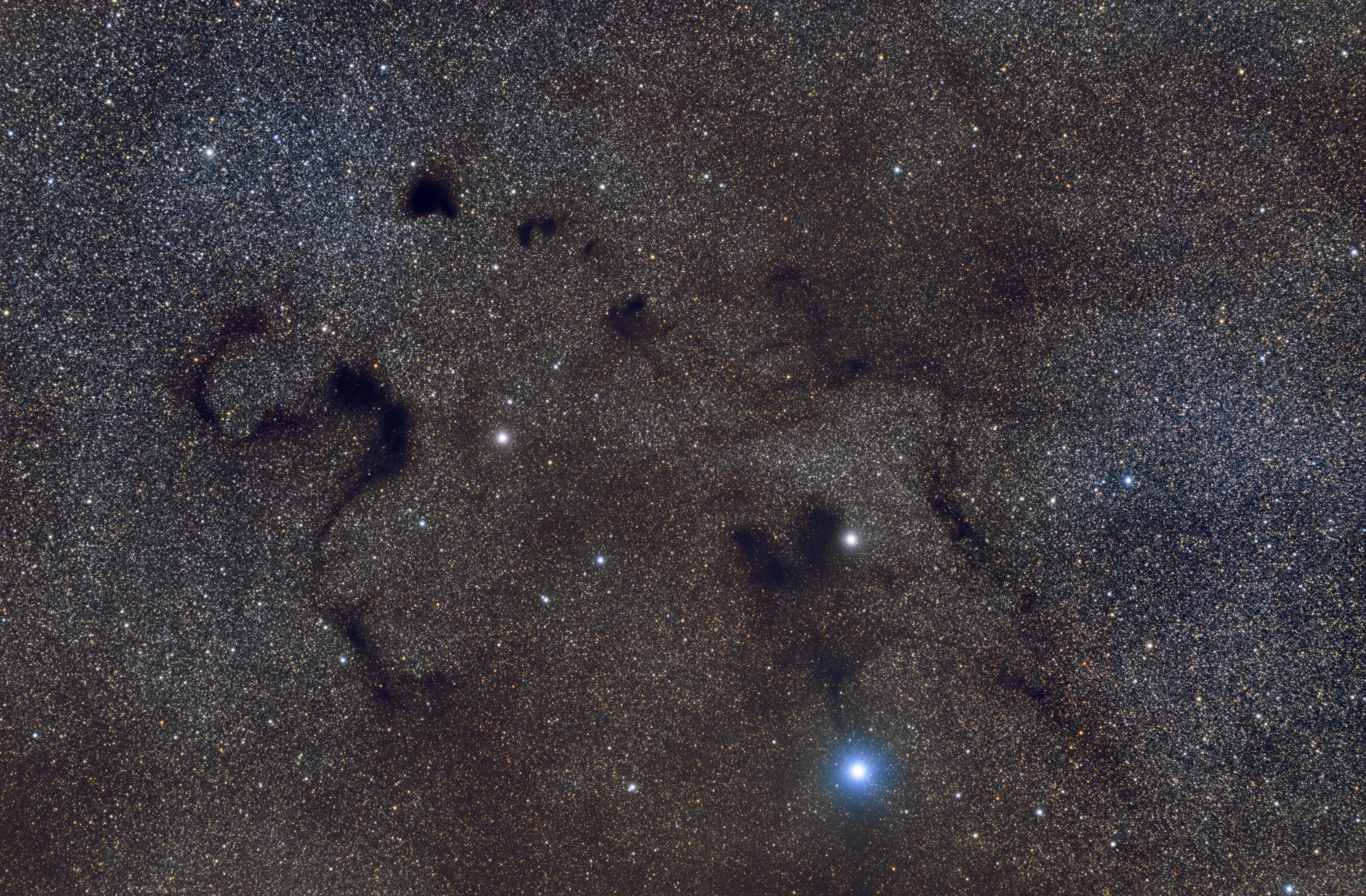 Black Void and Snake