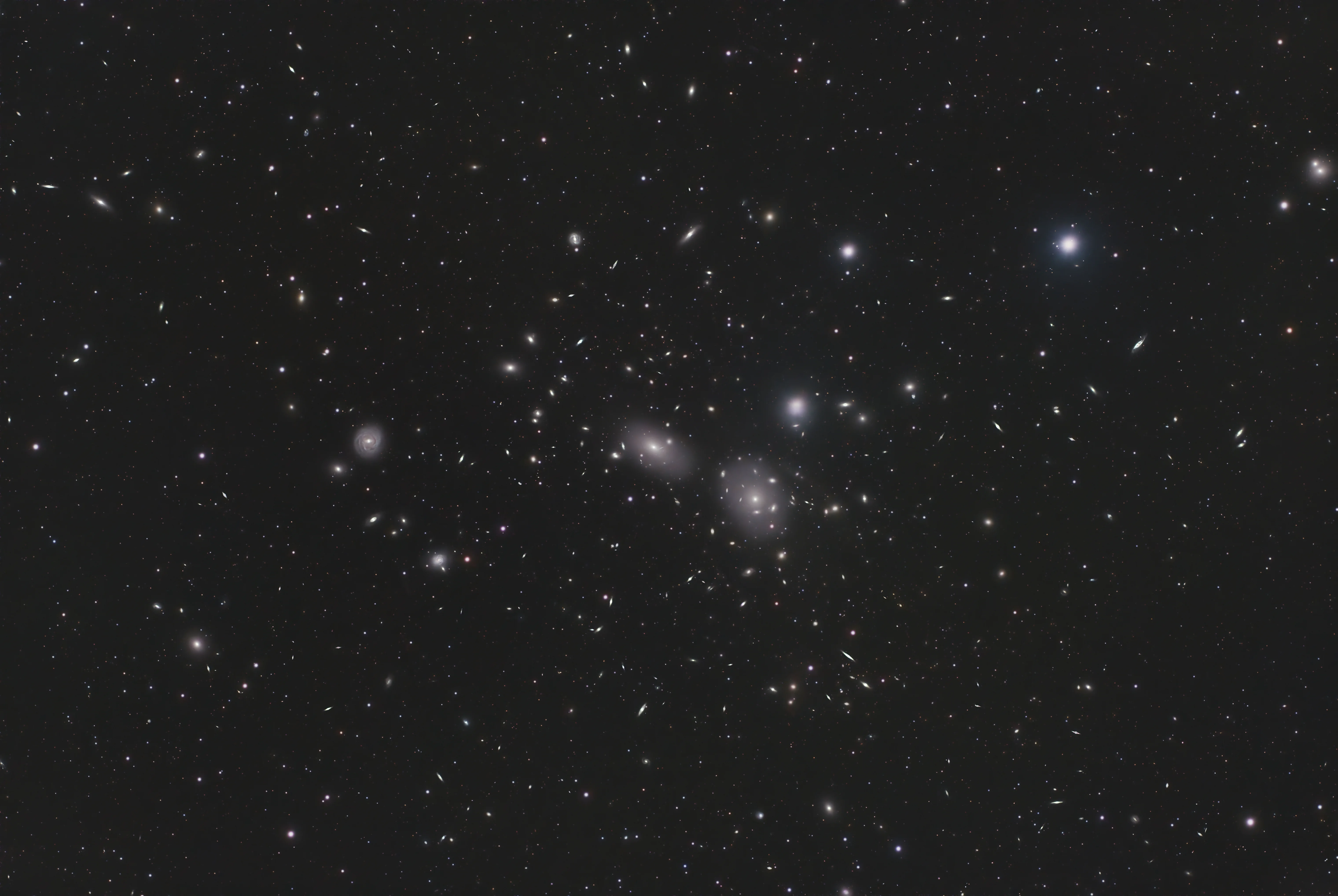 Coma Cluster