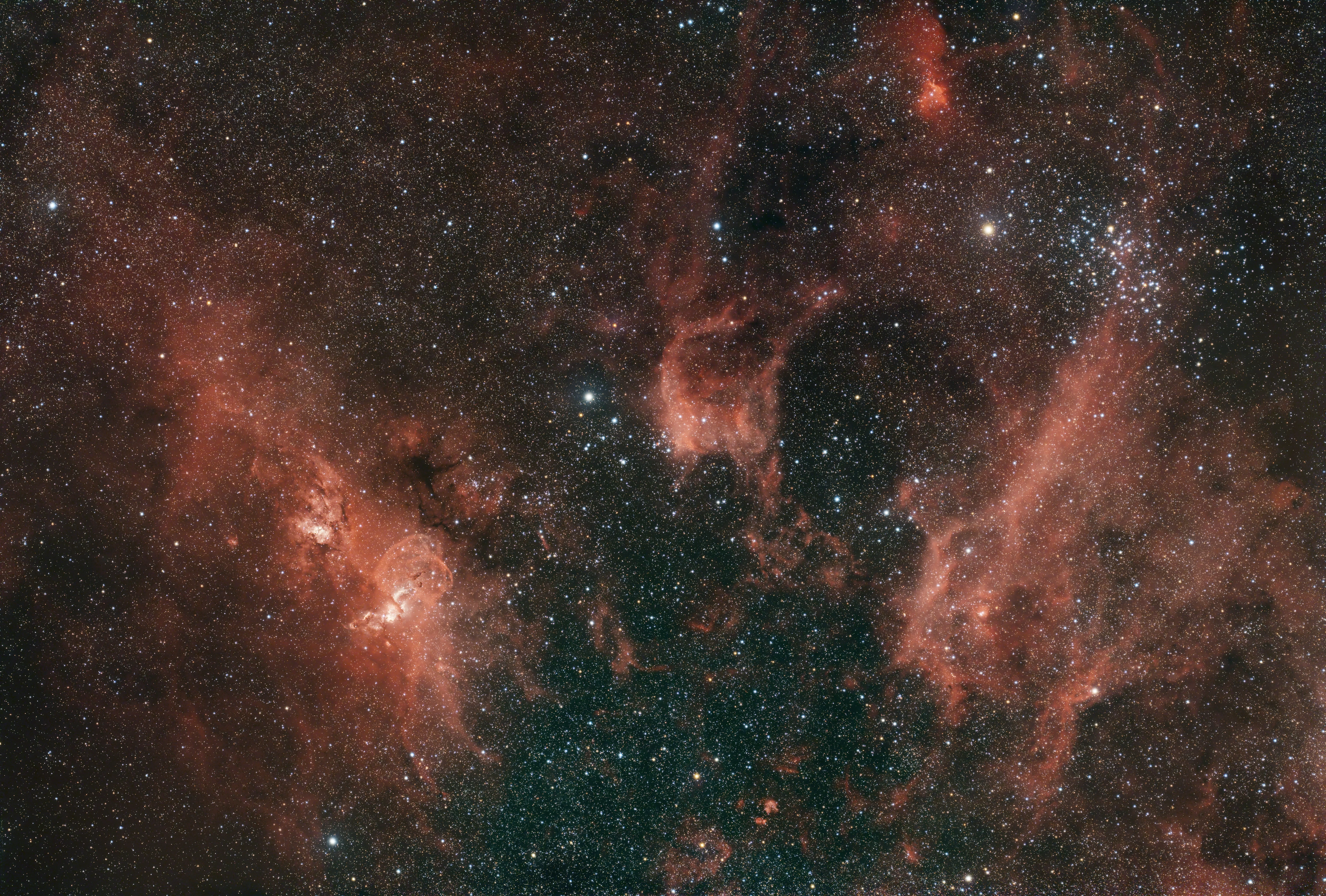 The Horsehead Nebula across a field of stars