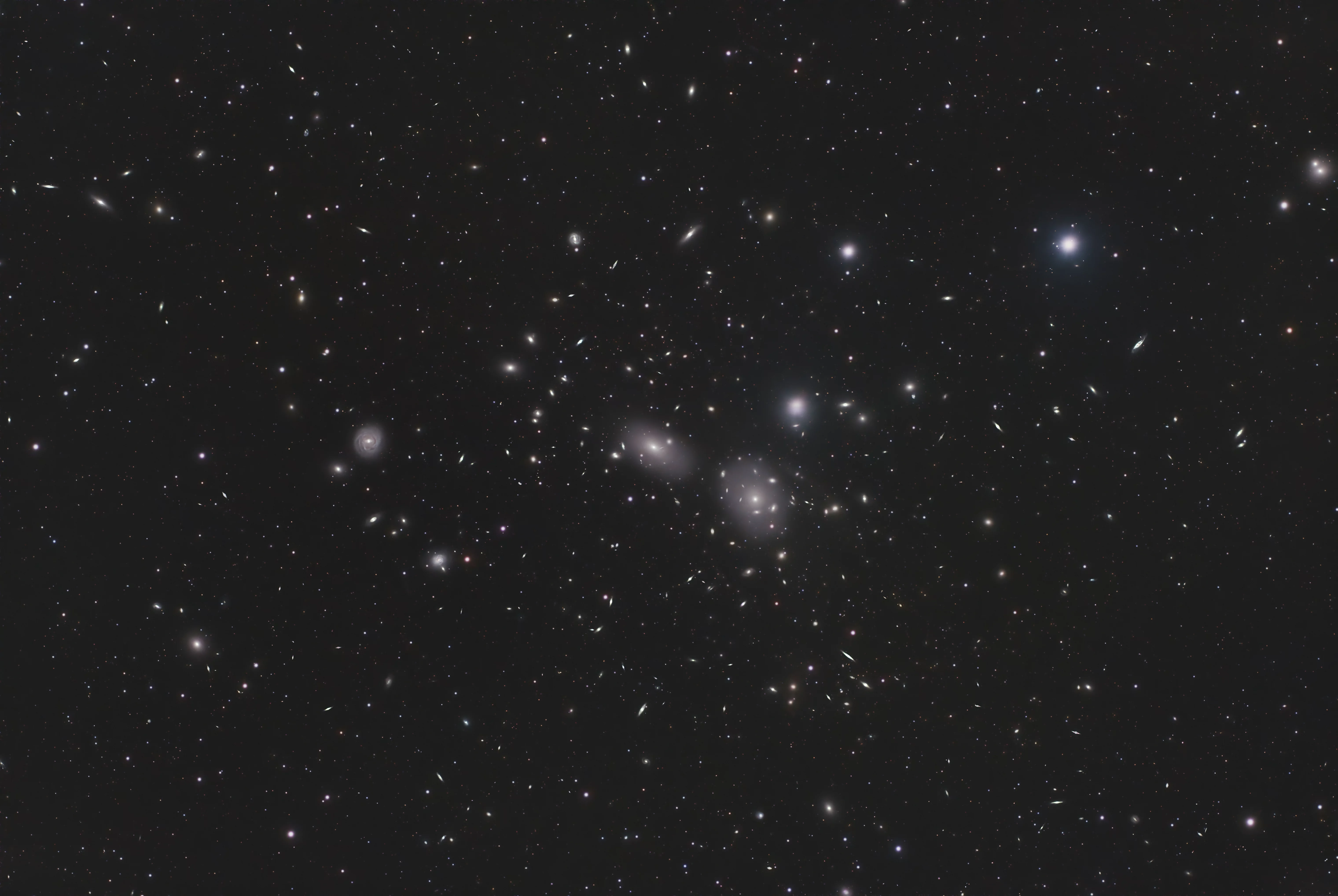 Coma Cluster